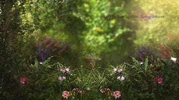 Dub Techno Session - Spring Edition