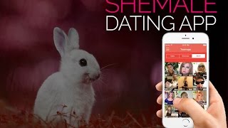 CROSSDRESSER and TRANSGENDER dating app / ios / android - Travmaga screenshot 4