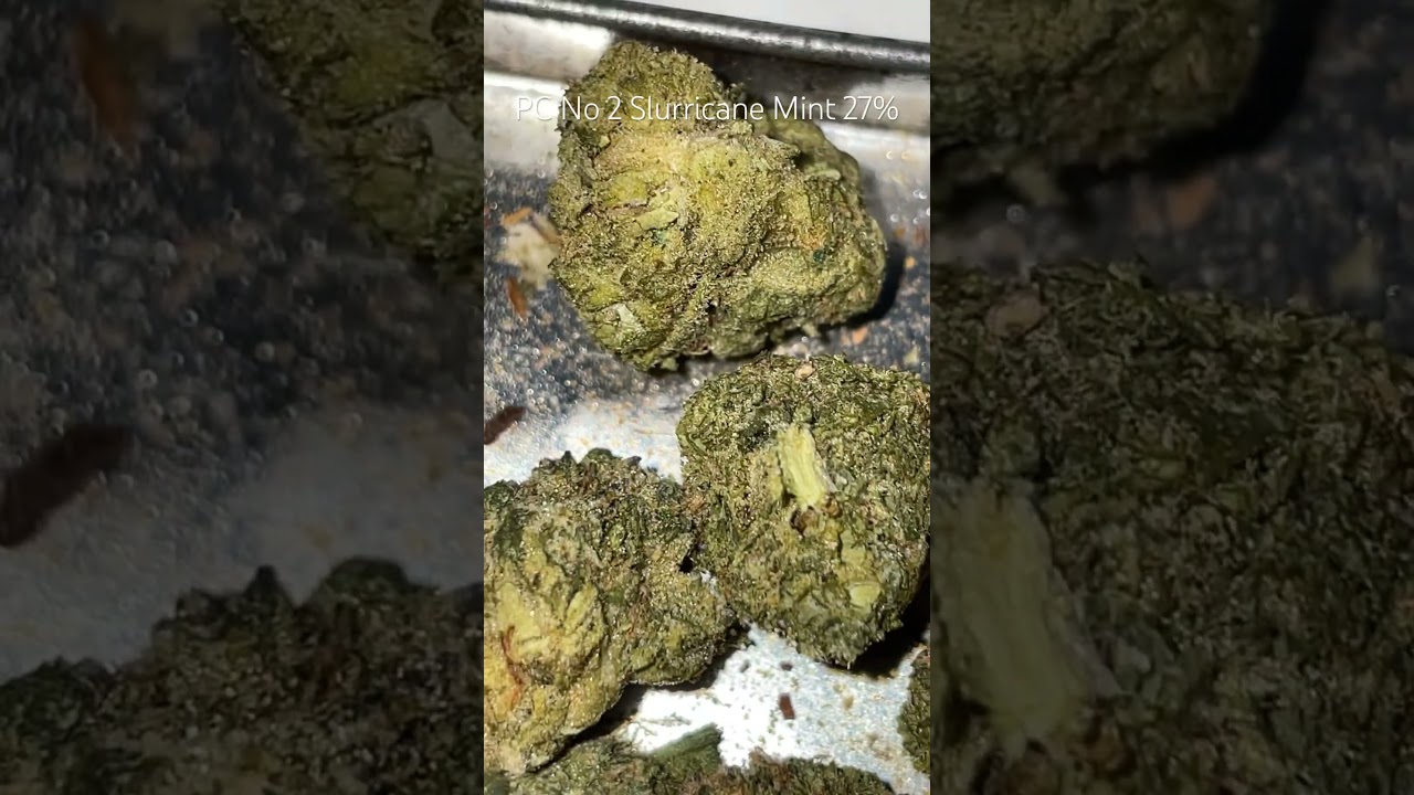 Ceres No 2 Slurricane Mint T27% Review 