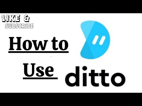 How to Use Ditto