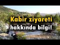 NEDEN YASAKLANDI ( Dormex Nedir ? Dormex Hangi Meyvelerde ...