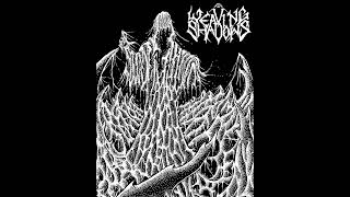 Weaving Shadows - Noctu (At Night)