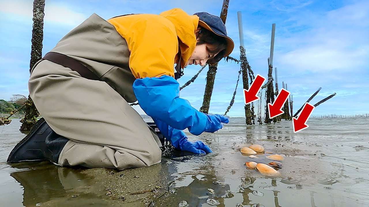 Collect a Lot of Hamaguri and Make the Ultimate Ramen - YouTube