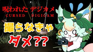 【単発ホラー】娘を探しています📸【Cursed Digicam | 呪われたデジカメ】