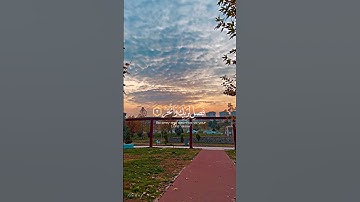 سورة الكوثر #عبدالرحمن_مسعد #القرآن_الكريم #قرآن #قران_كريم