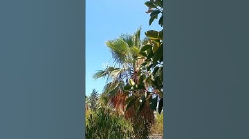 سورة النور الاية 35