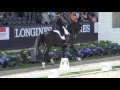 Sezuan...World Champion 7 yr.old dressagehorses 31-7-2016 Ermelo
