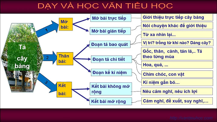 Những bài văn hay lớp 4 tả cây bóng mát năm 2024