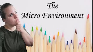 Business Studies Grade 10 | Micro Environment