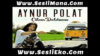 Aynur Polat - Çilem Doldumu Resimi