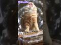 ai##cat #memes #lifeisbutadream y.t.shortsvideo #funny #trending #ஷார்ட்ஸ்வீடியோ