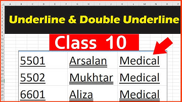How to Underline & Double Underline your text in Microsoft Excel