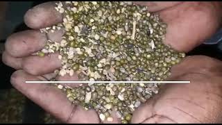 Grain Polisher - SemperFi Tech Services screenshot 5