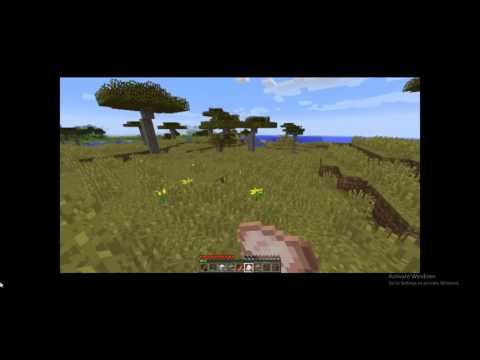 minecraft-survival ნაწილი 1 (მოვიპოვოთ რესურსები)