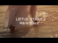 Lietus vijole (2018) - Māris Blāze