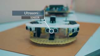 Car Like Mobile Robot with Fuzzy Logic for Steering Decision from SV UGM