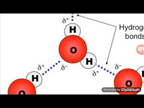 Liquids L-3 Hydrogen Bonding.