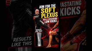 The Low Kick Secret Most Fighters Dont Know