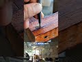 Installing plywood #woodworkerusa #satisfyingbuild #woodtok