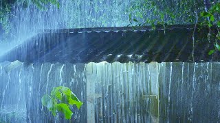 Sleep Instantly with Soothing Rain Sounds and Thunderstorm in Dark Night  Sleeping Rain White Noise