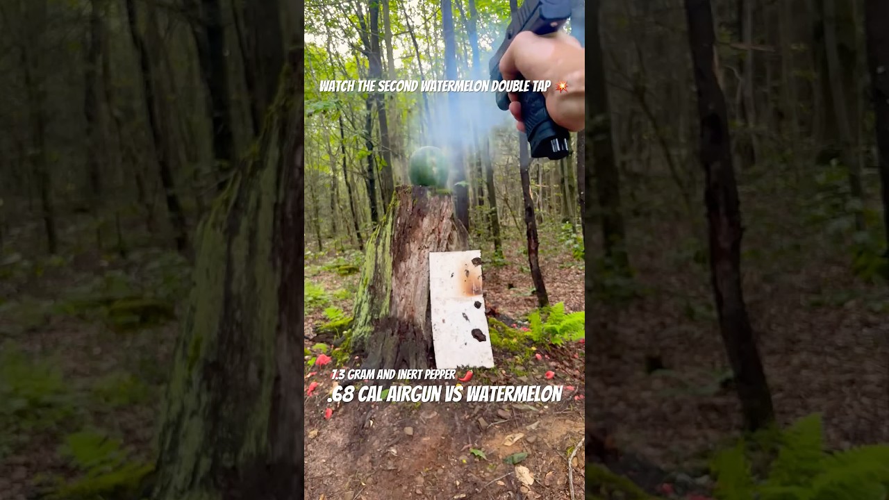 .68 cal airgun VS watermelon Pistelle  x68