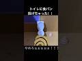 【エヴァンゲリオン初号機は食パンをトイレに投げた!】(この物語はフィクションであり、実在する人物・団体とは一切関係ありません。)#エヴァンゲリオン #兎田ぺこら #ウッディ #コマ撮り #shorts