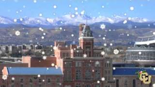 Chancellor's Holiday Card 2010