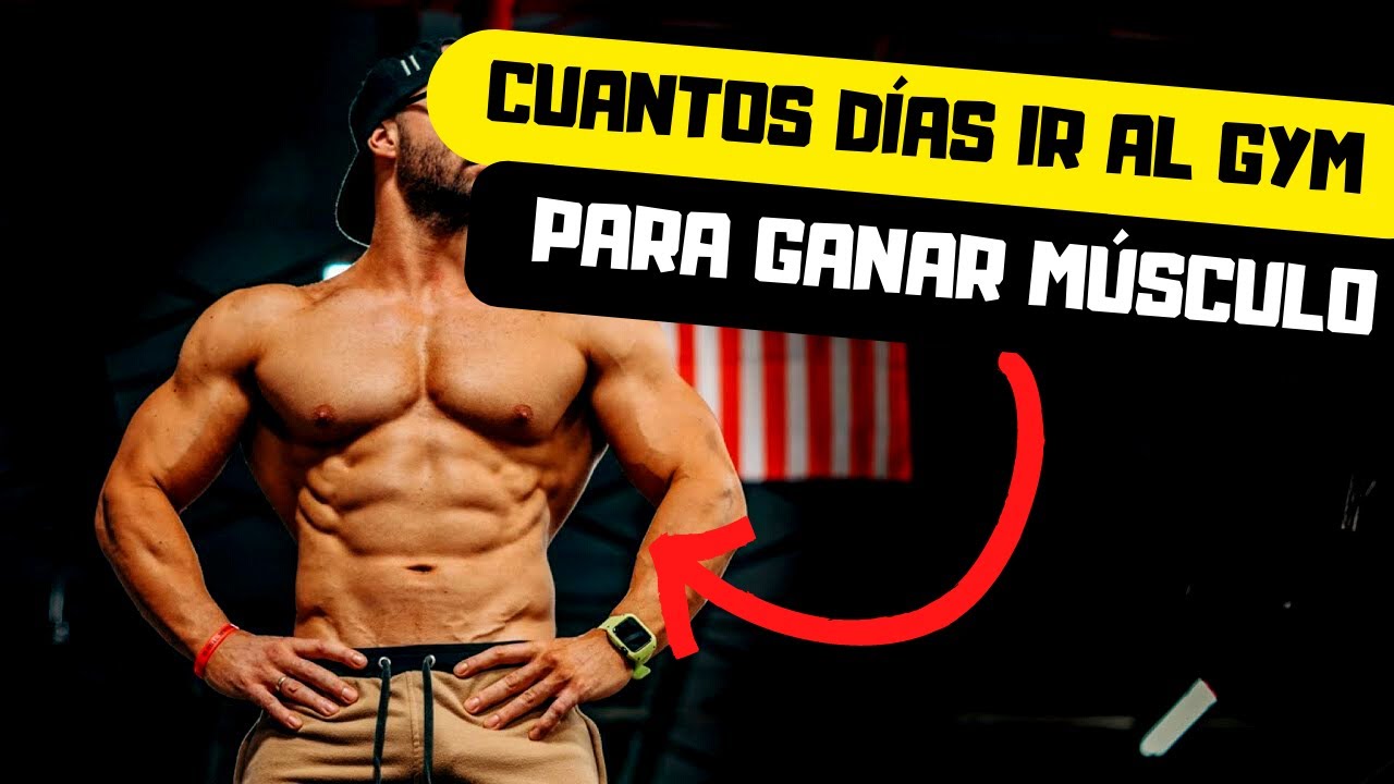 CUANTOS DIAS IR AL GYM PARA GANAR MASA MUSCULAR YouTube