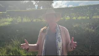 IDB 2026 - Valerie Hickey - Director for Environment, World Bank Group