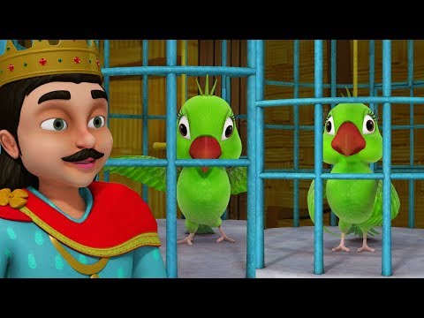 The Two Parrots  Stories for Kids  Infobells