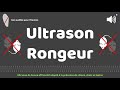 Ultrason pour contre rongeur adapt