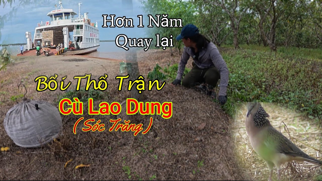 Duy Trà Vinh || Bổi thổ trận Cù Lao Dung (Sóc Trăng) Bổi số 188 15/9/25 @duyfishingtravinh