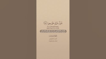 سورة الصافات [ 171 : 179 ] ~ الشيخ أحمد النفيس