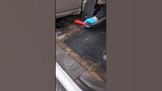 Detailing NASTY Work Truck in 60 SECONDS! 🚘💕 #ASMR #Satisfying #Detailing #CarCleaning #DetailDane