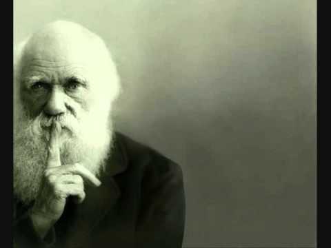 Vídeo: Què és El Darwinisme