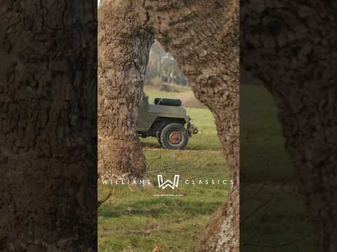 Land Rover Series 3 88" Lightweight Military 24 Volt 1980 FOR SALE!