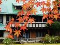 雨の華頂の宮邸　紅葉