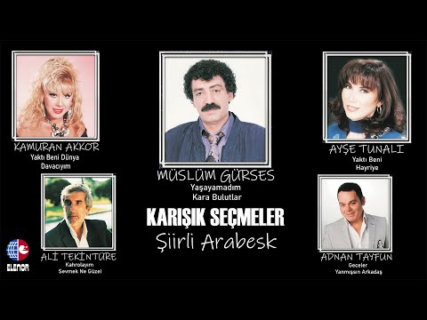 Adnan Tayfun Gültekin - Yanmışsın Arkadaş