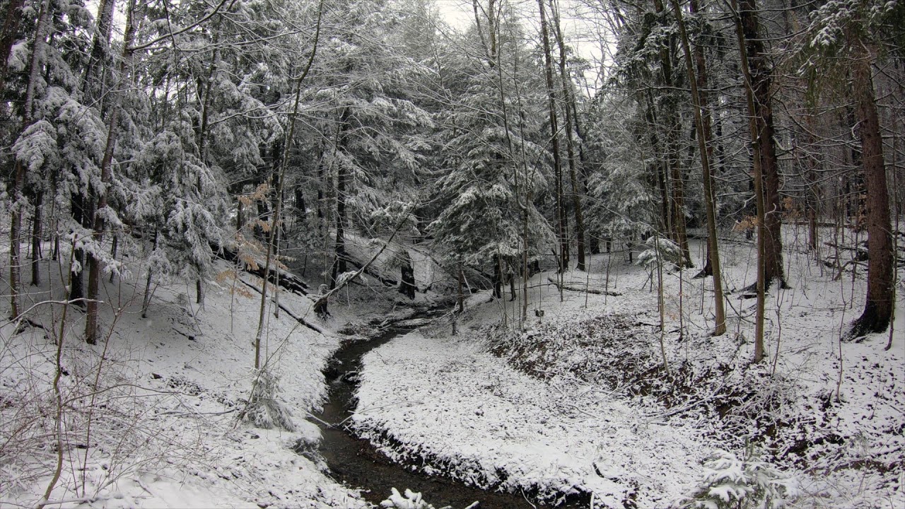 The Best Classical Christmas Music Snow Falling On A Winter Creek HD the-best-classical-christmas-music-snow-falling-on-a-winter-creek-hd