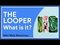 The looper mini web machine