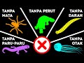 10+ Hewan-hewan yang Tidak Memiliki Organ-organ Paling Penting