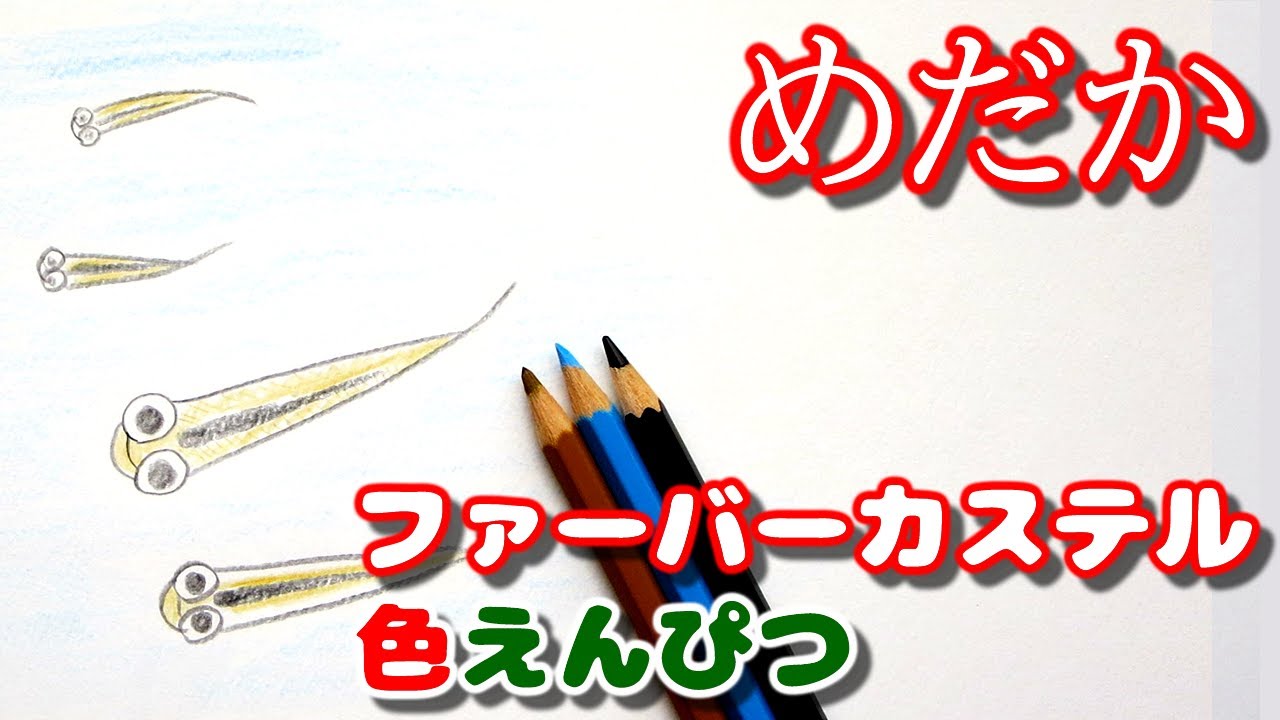 How To Draw A Illustration Japanese Rice Fish Youtube