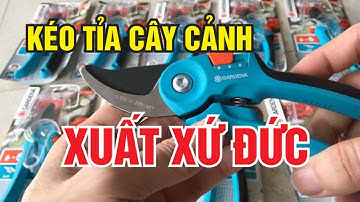 Kéo Cắt Cành Xuất Xứ Đức | Kéo Cắt Tỉa Cây Cảnh Bon Sai