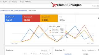 Shopify Case Study: Turning $266 Into $1440 With Google Shopping