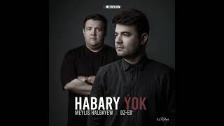 Dz Ed - Meylis Halbayew Habary Yok
