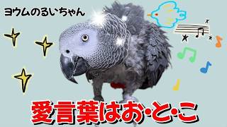 愛言葉はお・と・こ♪
