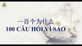 #OliuAudio: 为什么秋天树叶会枯黄？Tại sao lá chuyển sang màu vàng úa vào mùa thu?