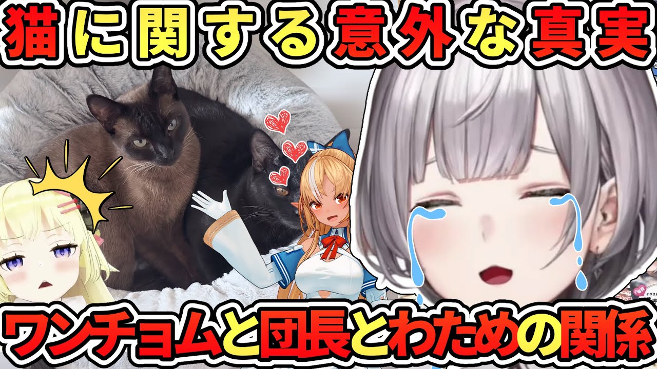 猫の意外な真実と、ワンチョムとの関係について話す団長と、危機せまるワタメー【白銀ノエル／角巻わため／不知火フレア／ホロライブ切り抜き】
