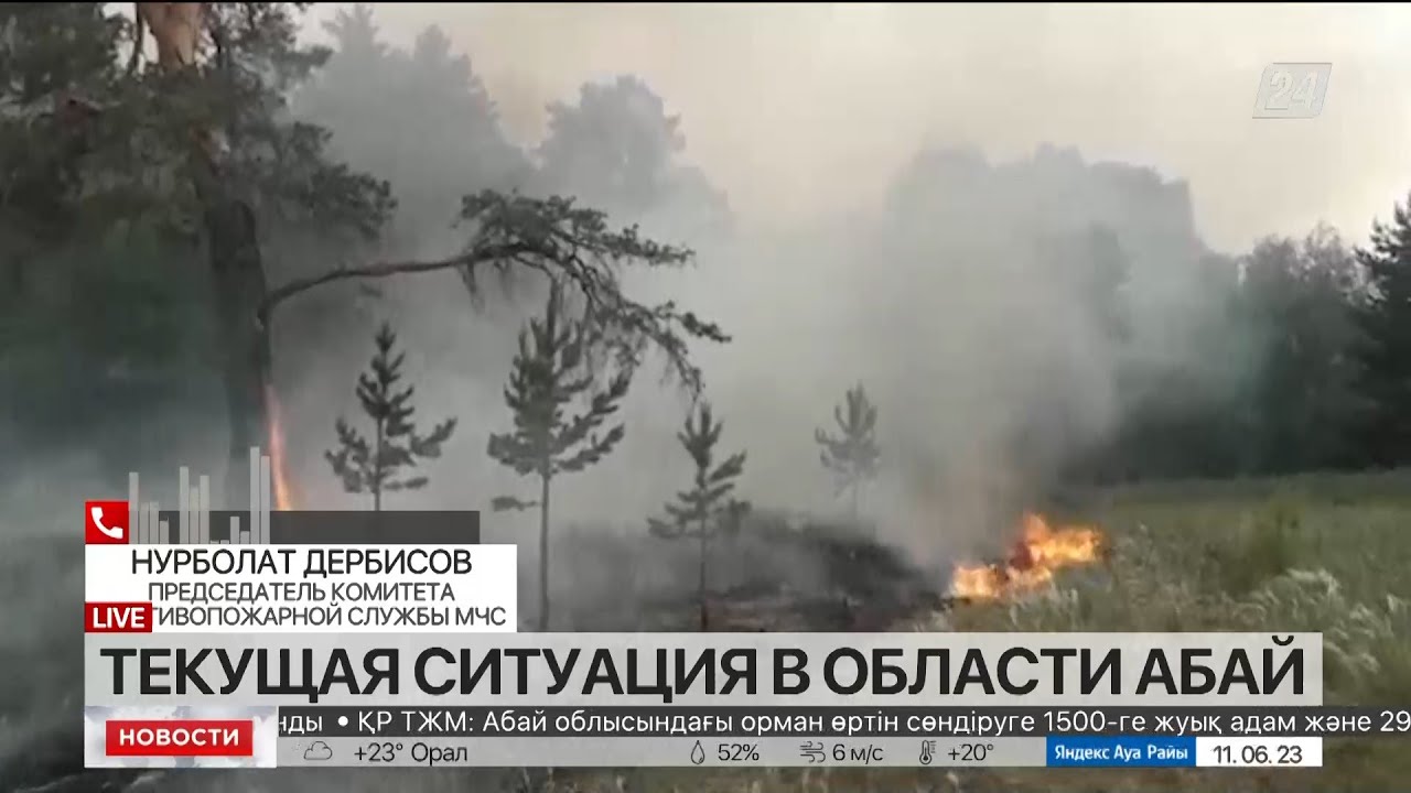 Обстановка в казахстане Обстановка в казахстане