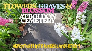 FLOWERS, GRAVES & BLOSSOM AT BOLDON CEMETERY 